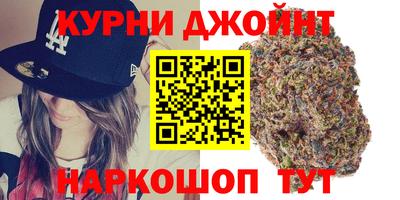 прущие крисы Гай