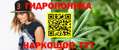 дживик Гатчина
