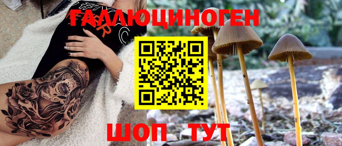 Псилоцибиновые грибы мицелий Белово