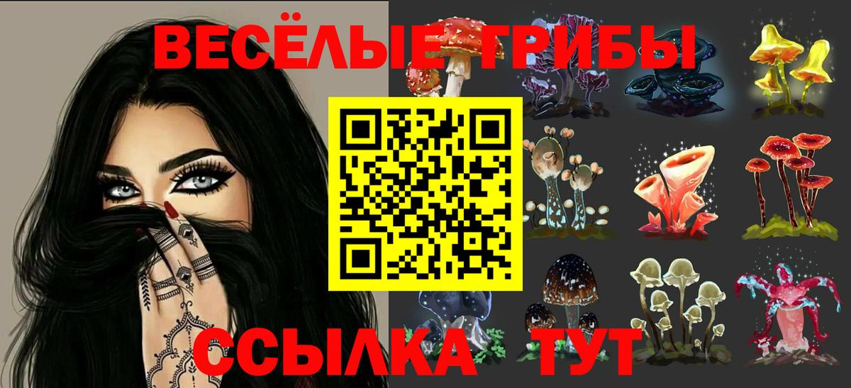 Псилоцибиновые грибы Psilocybine cubensis  Вход с VPN  Галлюциногенные грибы GOLDEN TEACHER  Белово 